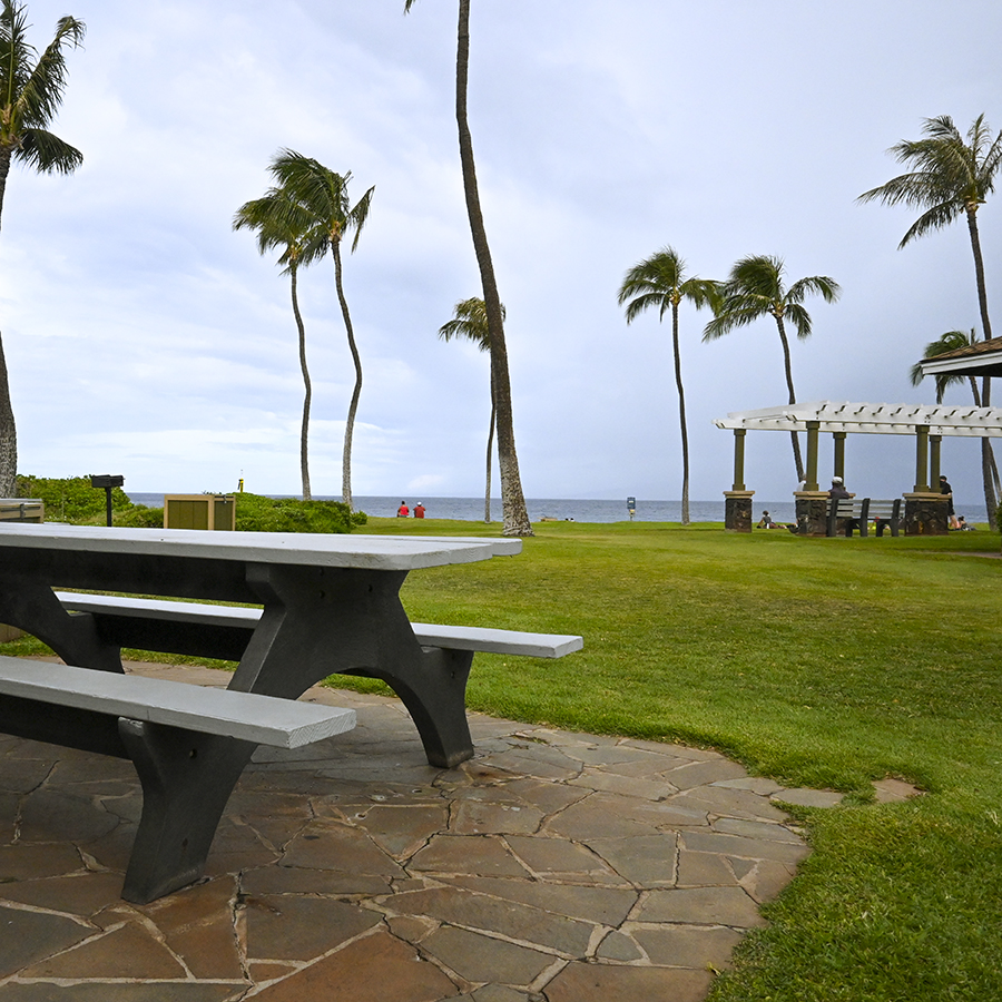 Airport beach picnic benches