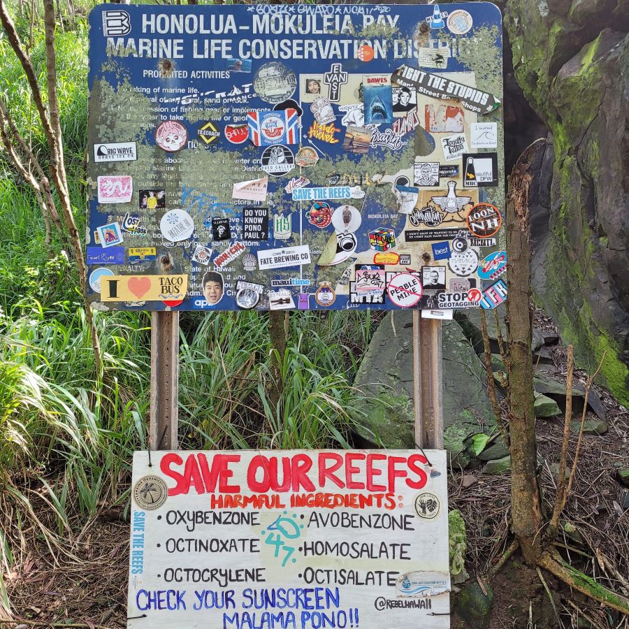 Marine Life Conservation Sign at Honolua -Mokuleia Bay