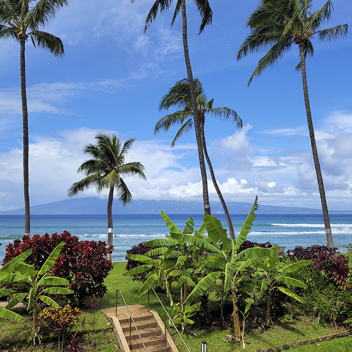 Paki Maui View