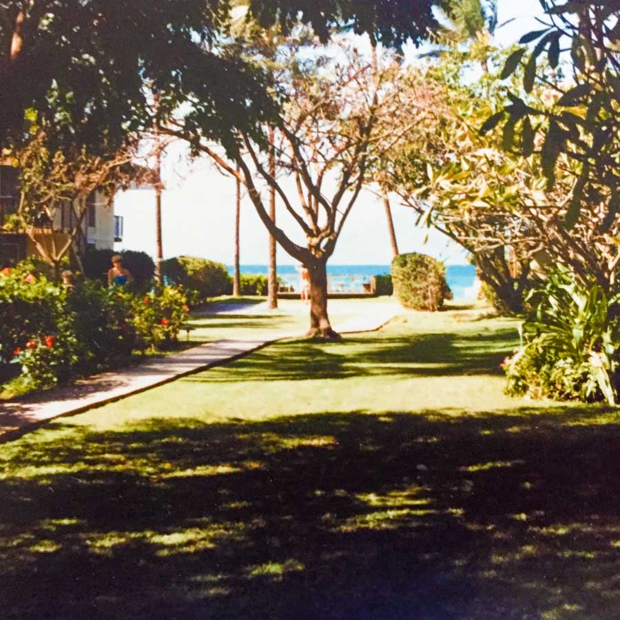 The Lush Property of Maui Sands 1979-1981